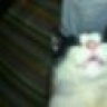 Roarke