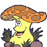 JohnnyLoquat