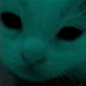 OSX2000