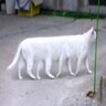 pakra