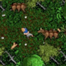 KillerKong