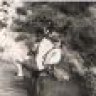 Tiptoeturtle