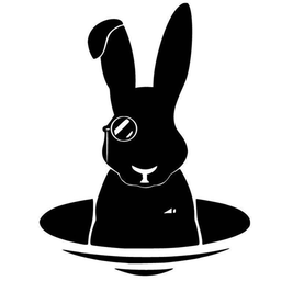 www.rabbitholecomputing.com