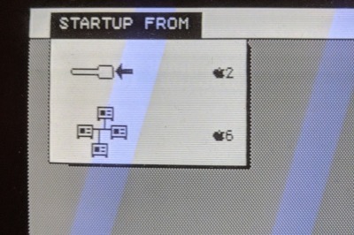 startup.jpg