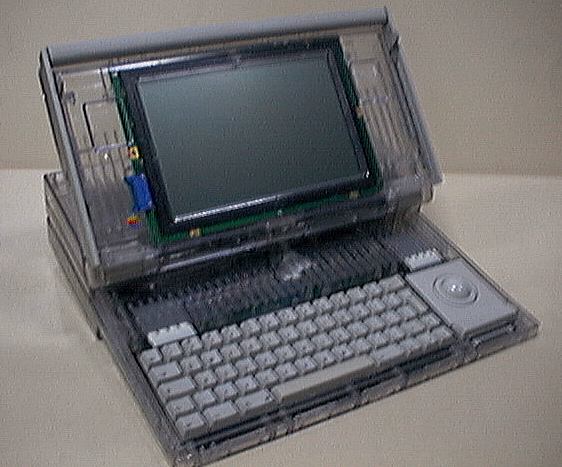 www.journaldulapin.com
